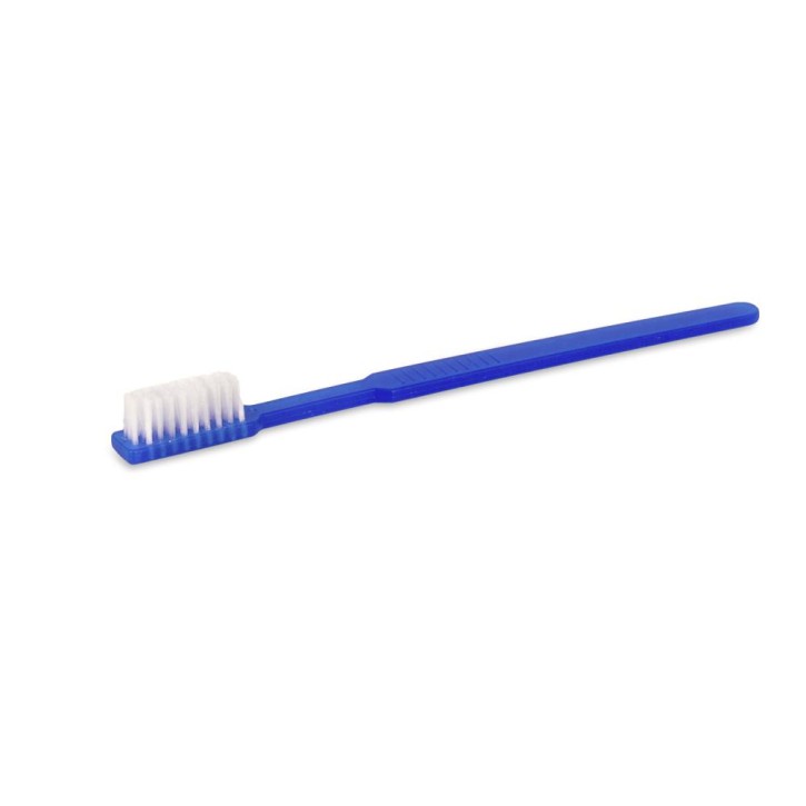 Einmal-Zahnbürsten mit Zahnpasta | Blau