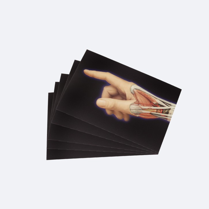 PROMETHEUS Postkarten | 3D Hand | 5er Pack