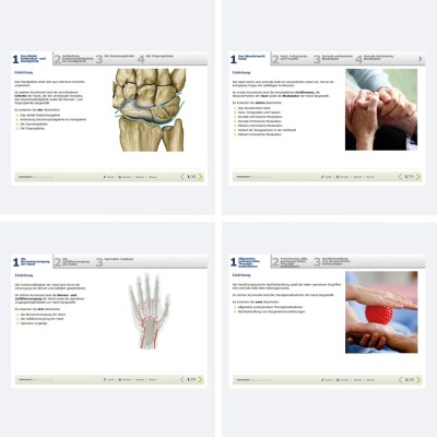 physiofortbildung | E-Learning | Handtherapie (HT1-HT7) und Präparation der Hand