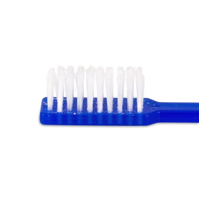 Einmal-Zahnbürsten mit Zahnpasta | Blau | MHD erreicht