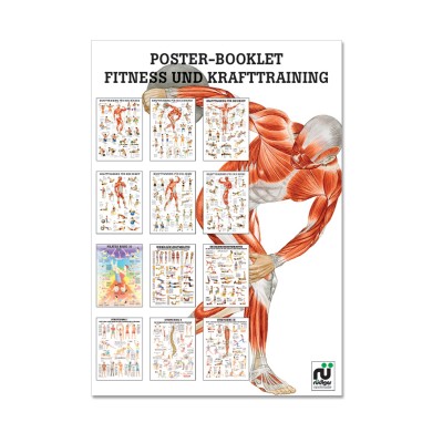 Poster Booklet | Fitness- und Krafttraining | Rüdiger Anatomie