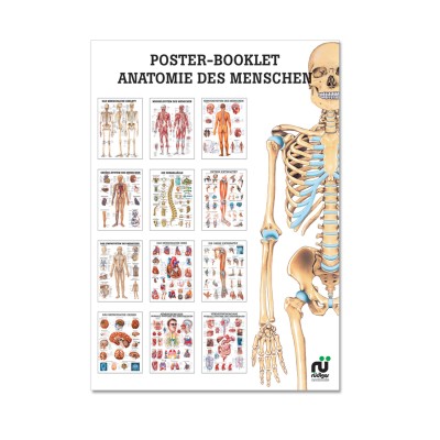 Poster Booklet | Anatomie des Menschen | Rüdiger Anatomie