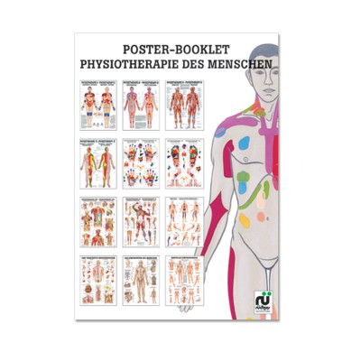Poster Booklet | Physiotherapie des Menschen | Rüdiger Anatomie